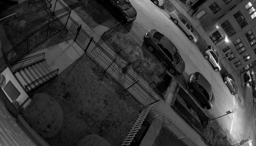 Reolink Camera Two_01_Reolink Home Hub One_20260320192532.jpg